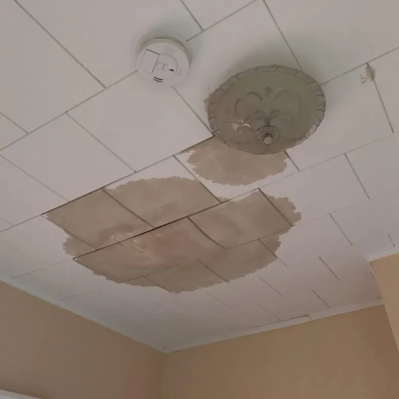 Ceiling Water Damage Repair in Presquille, LA